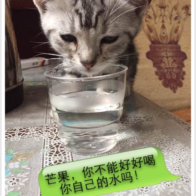 毕业证学位证丢了考研怎么办